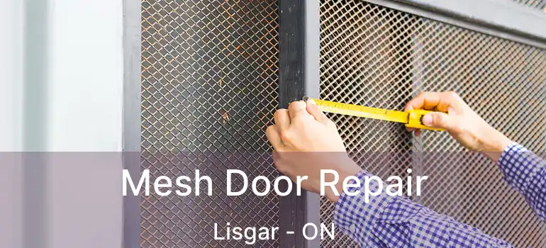  Mesh Door Repair Lisgar - ON