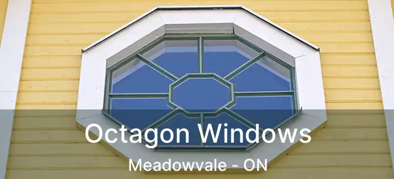  Octagon Windows Meadowvale - ON