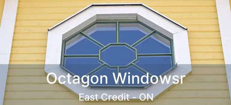  Octagon Windowsr East Credit - ON