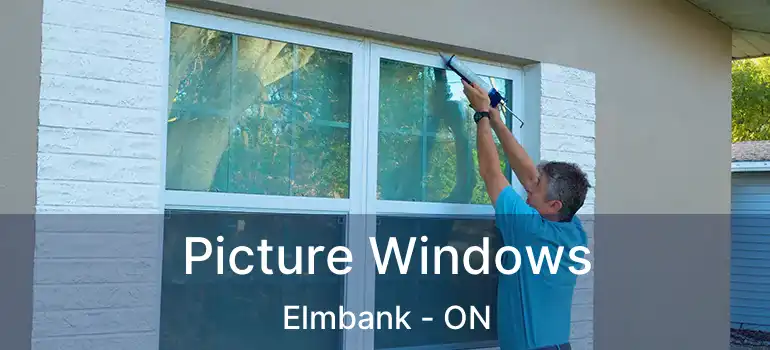  Picture Windows Elmbank - ON