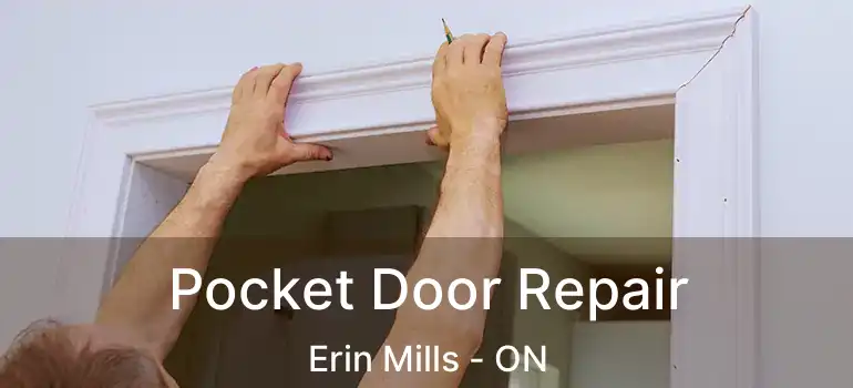  Pocket Door Repair Erin Mills - ON