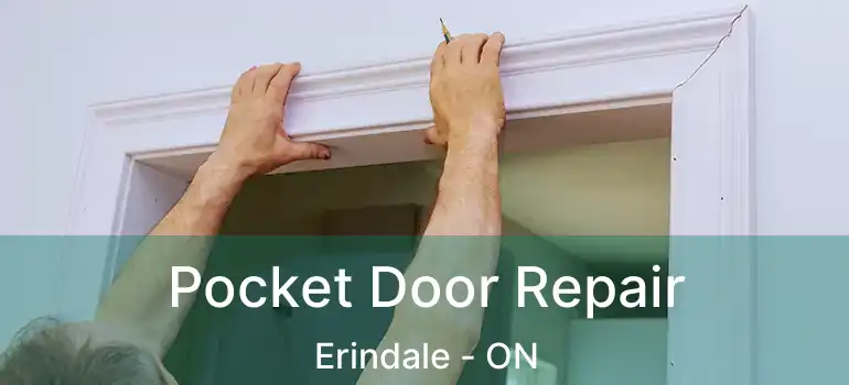  Pocket Door Repair Erindale - ON
