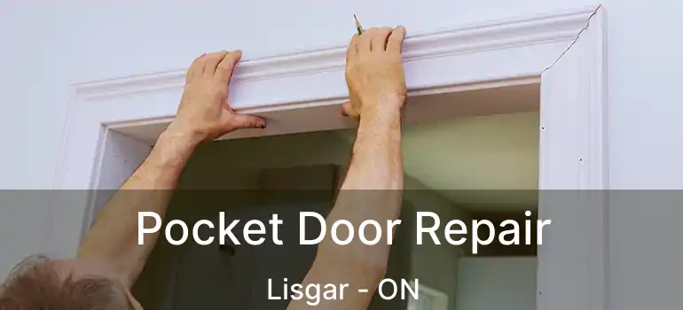 Pocket Door Repair Lisgar - ON