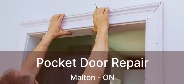  Pocket Door Repair Malton - ON