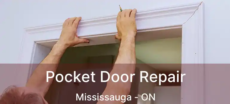  Pocket Door Repair Mississauga - ON