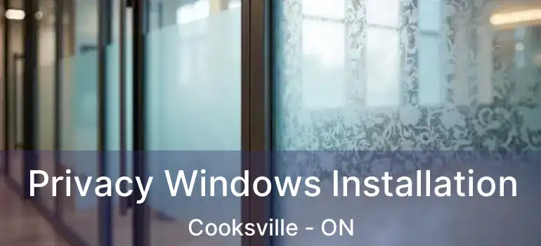  Privacy Windows Installation Cooksville - ON