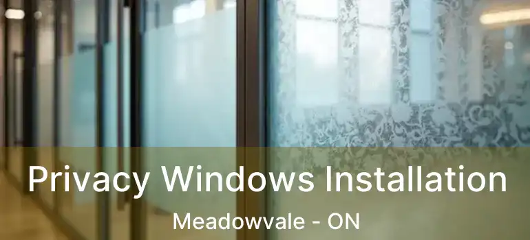  Privacy Windows Installation Meadowvale - ON