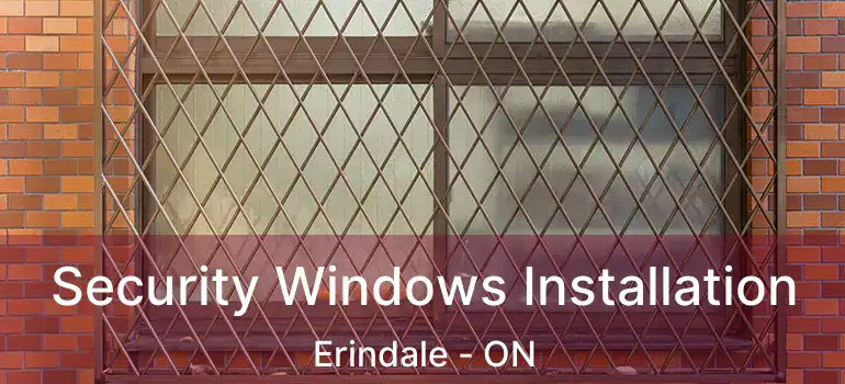  Security Windows Installation Erindale - ON