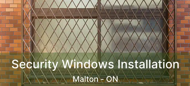  Security Windows Installation Malton - ON