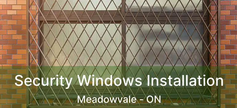  Security Windows Installation Meadowvale - ON