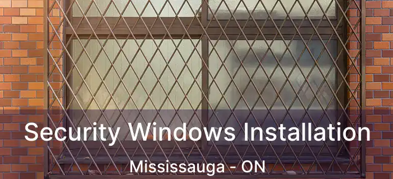  Security Windows Installation Mississauga - ON