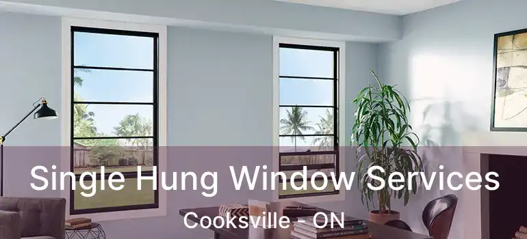  Single Hung Window Services Cooksville - ON