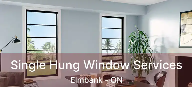  Single Hung Window Services Elmbank - ON