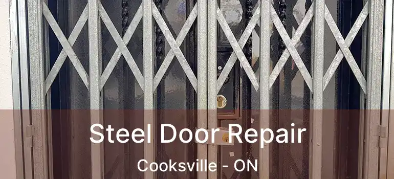  Steel Door Repair Cooksville - ON