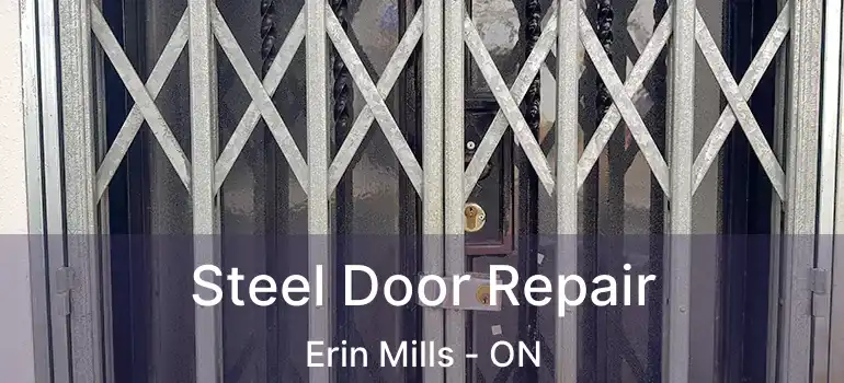 Steel Door Repair Erin Mills - ON