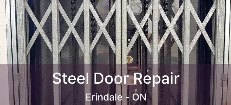  Steel Door Repair Erindale - ON