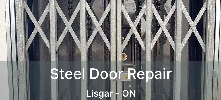  Steel Door Repair Lisgar - ON