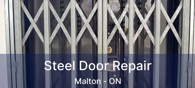  Steel Door Repair Malton - ON