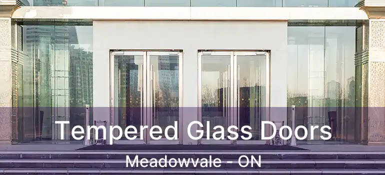  Tempered Glass Doors Meadowvale - ON