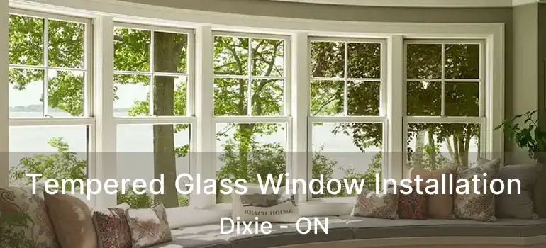  Tempered Glass Window Installation Dixie - ON
