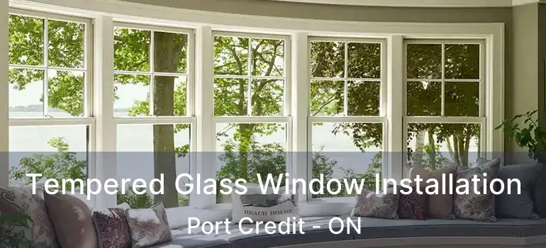  Tempered Glass Window Installation Port Credit - ON