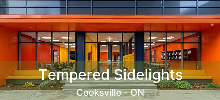  Tempered Sidelights Cooksville - ON