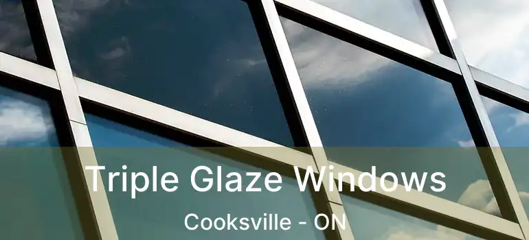  Triple Glaze Windows Cooksville - ON