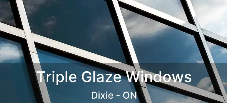  Triple Glaze Windows Dixie - ON