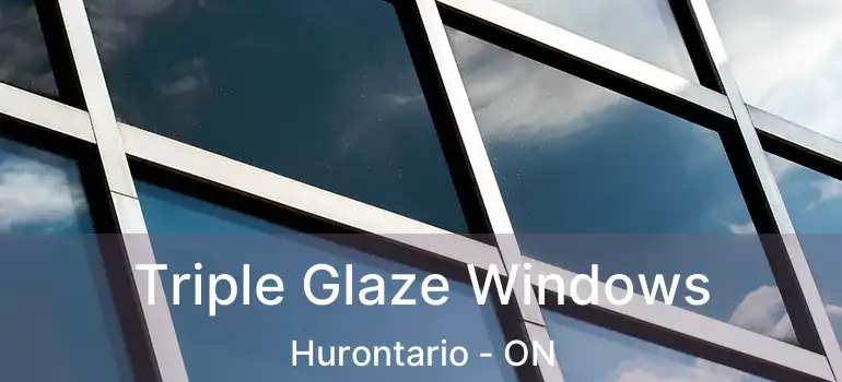  Triple Glaze Windows Hurontario - ON