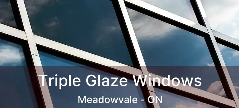  Triple Glaze Windows Meadowvale - ON