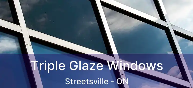  Triple Glaze Windows Streetsville - ON