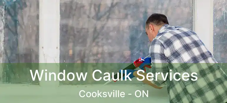  Window Caulk Services Cooksville - ON