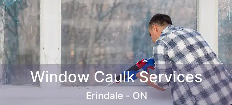  Window Caulk Services Erindale - ON