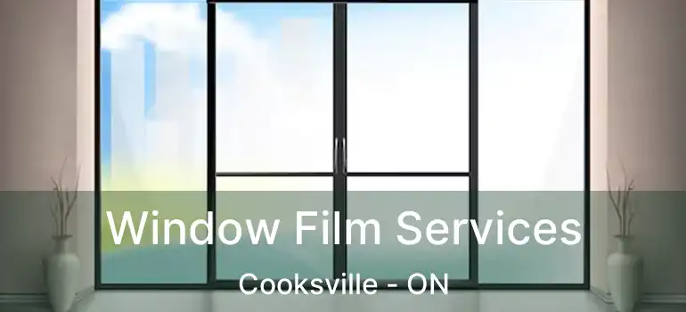  Window Film Services Cooksville - ON