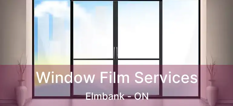  Window Film Services Elmbank - ON