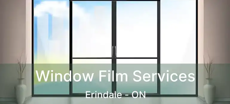  Window Film Services Erindale - ON