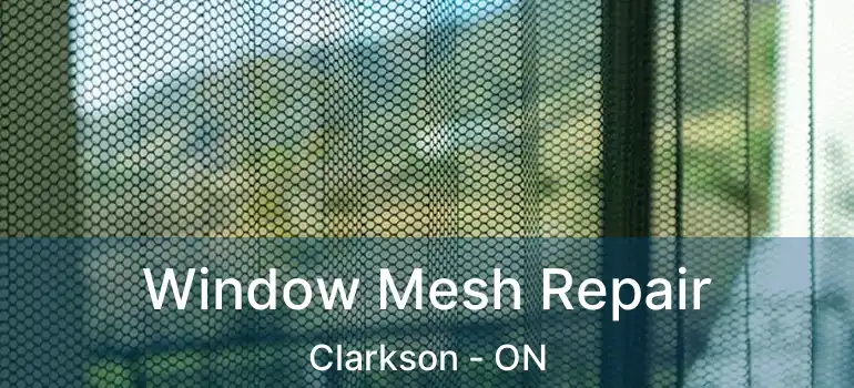  Window Mesh Repair Clarkson - ON