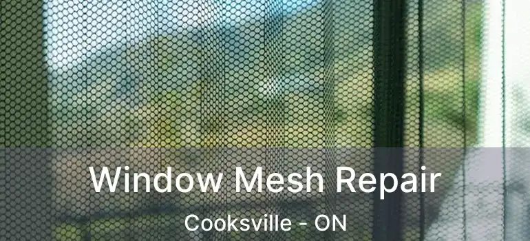  Window Mesh Repair Cooksville - ON