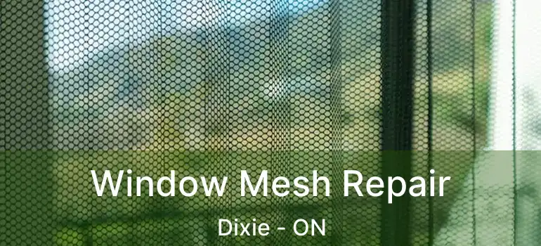  Window Mesh Repair Dixie - ON
