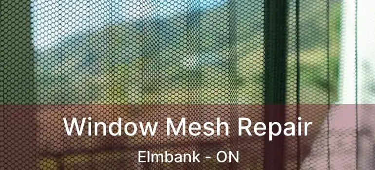 Window Mesh Repair Elmbank - ON