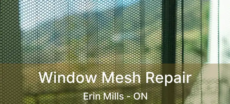  Window Mesh Repair Erin Mills - ON