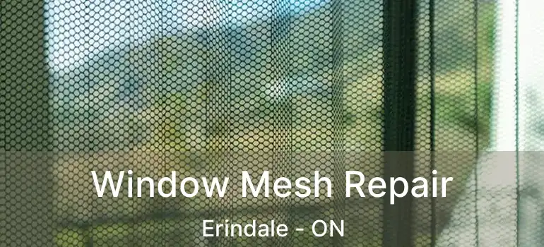  Window Mesh Repair Erindale - ON