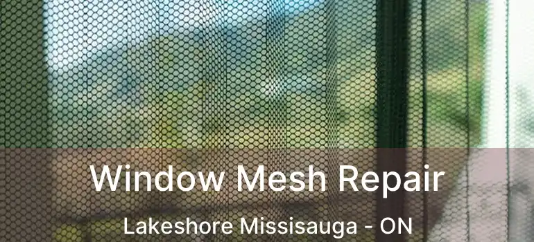  Window Mesh Repair Lakeshore Missisauga - ON
