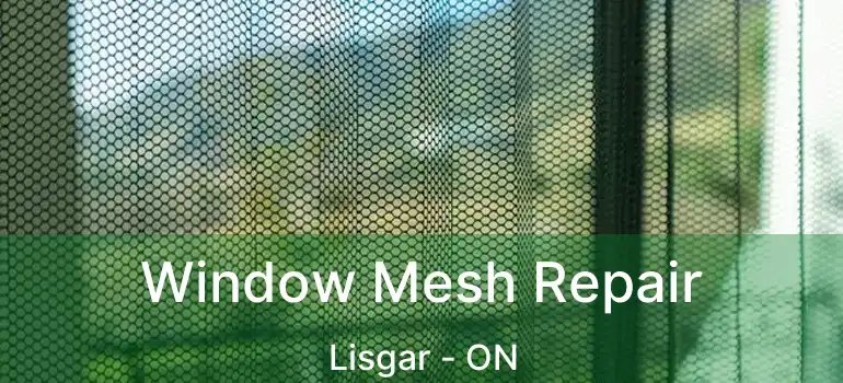  Window Mesh Repair Lisgar - ON