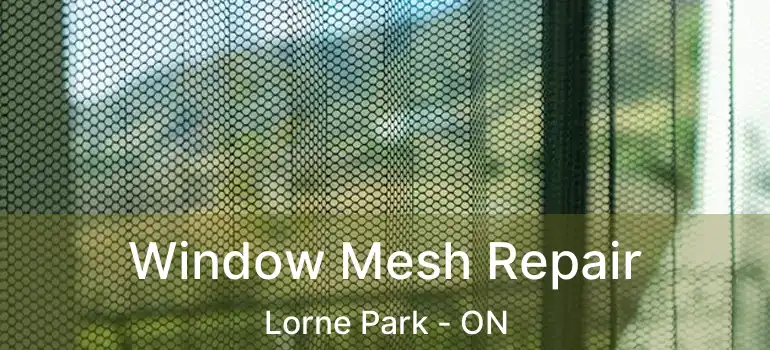  Window Mesh Repair Lorne Park - ON