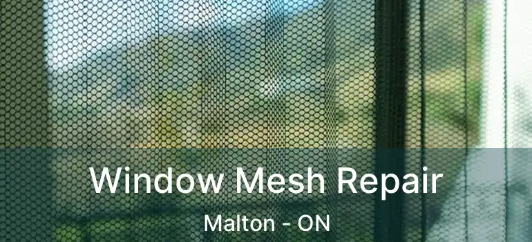  Window Mesh Repair Malton - ON