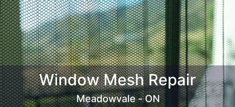 Window Mesh Repair Meadowvale - ON