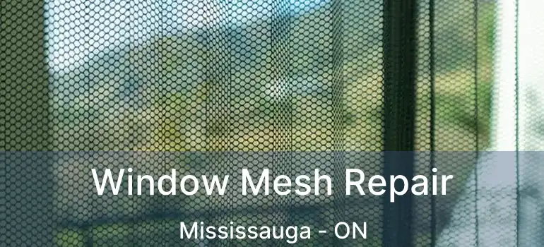  Window Mesh Repair Mississauga - ON