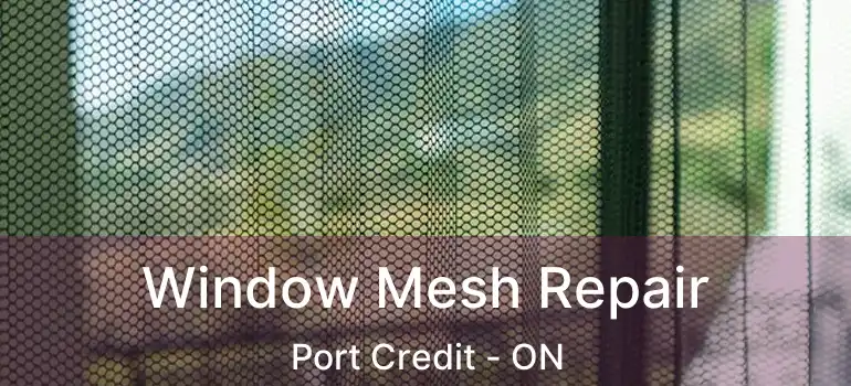  Window Mesh Repair Port Credit - ON