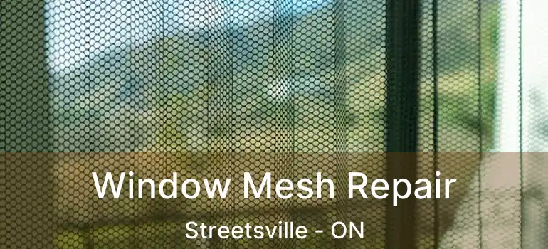  Window Mesh Repair Streetsville - ON